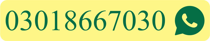 whatsapp-number